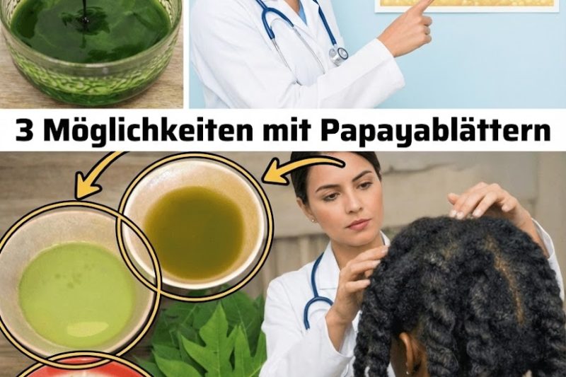 Papayablätter für gesünderes, jugendlich aussehendes Haar – natürlich und wirkungsvoll