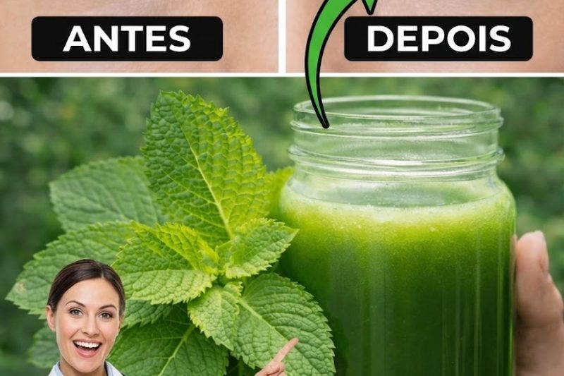 Orégão para a Saúde dos Olhos Após os 40 Anos: Apoio Antioxidante Natural e Hábitos Diários Simples