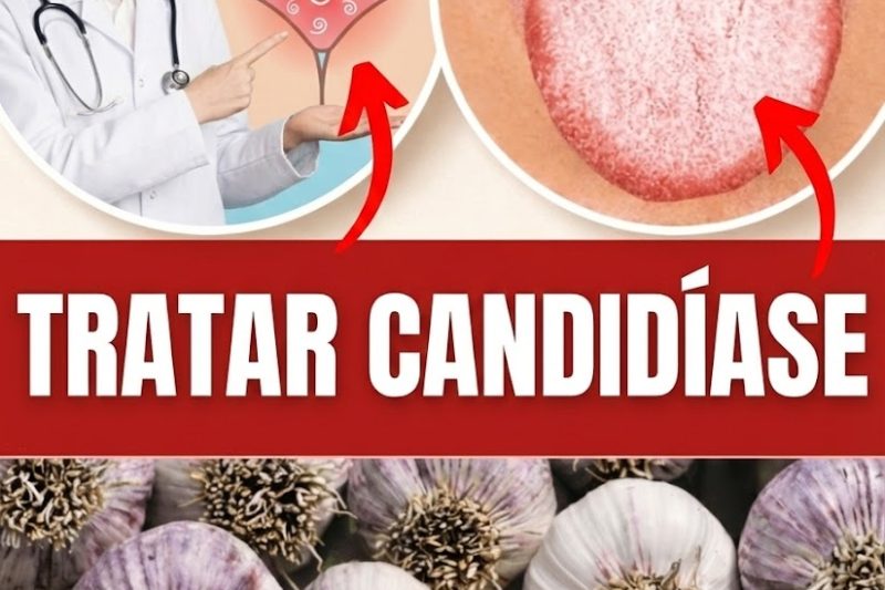 Diga Adeus à Fadiga Persistente e ao Desconforto do Desequilíbrio da Cândida: 8 Suportes Naturais que Podem Ajudar