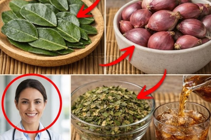A Infusão Natural Oculta Ligada à Filosofia do Metabolismo do Dr. Frank Suárez que Pode Apoiar o Bem-Estar Contra Câncer, Diabetes e Pressão Alta