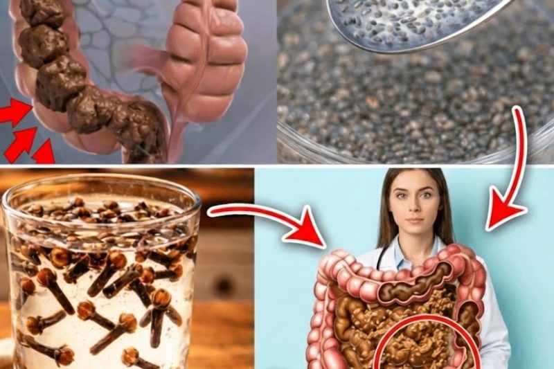 7 kraftvolle natürliche Getränke für eine sanfte Verdauungsregulierung und ein gesundes Bauchgefühl