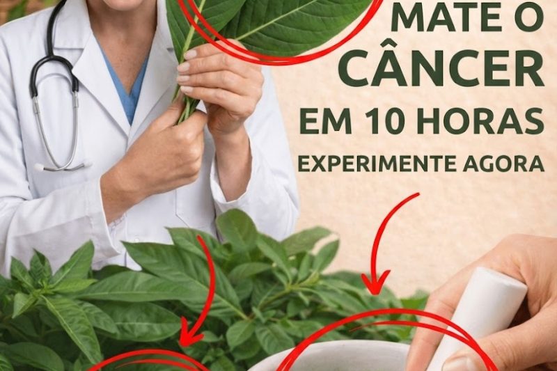 A Folha Poderosa que os Amantes da Natureza Estão Comentando: Benefícios da Moringa com Base Científica