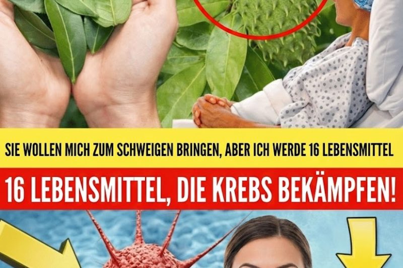 16 Alltägliche Lebensmittel, die laut Forschung zur Unterstützung der Krebsprävention beitragen können