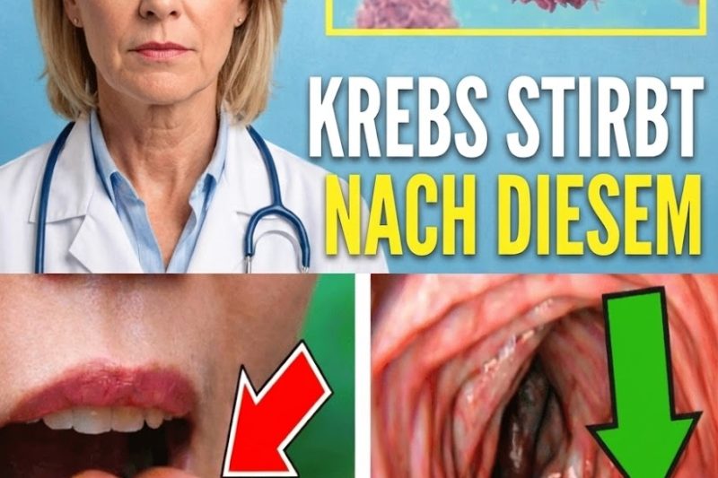 Ich bin Onkologe: 10 Alltägliche Lebensmittel, die älteren Menschen helfen können, abnorme Zellen zu bekämpfen