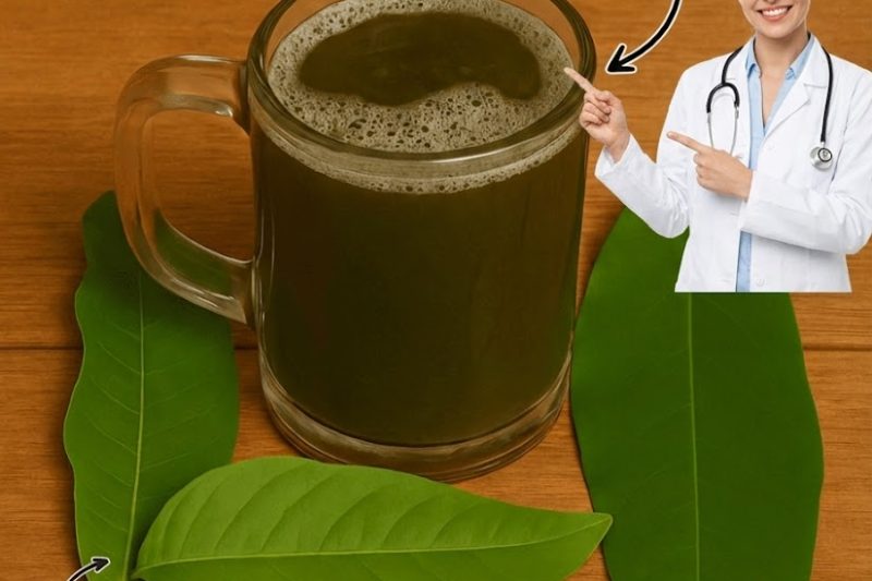 🍃 O Chá Proibido das Quatro Folhas Que Reverte Silenciosamente o Diabetes, Derrete a Gordura no Fígado e Restaura Sua Energia em Semanas