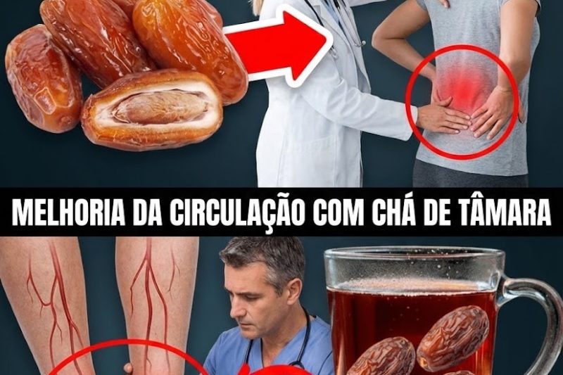 O Que Acontece com o Seu Corpo Quando Você Come 3 Tâmaras por Dia? Um Hábito Simples que Vale a Pena Tentar