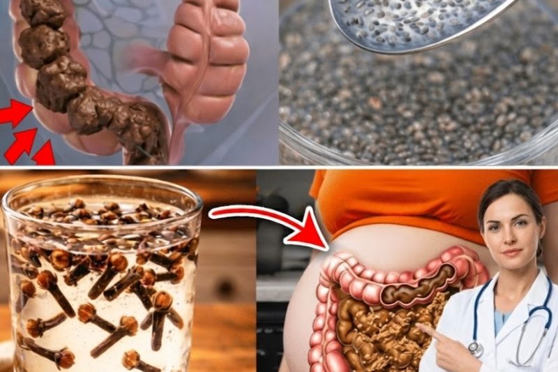 7 Bebidas Naturais Poderosas para Apoiar a Regularidade Digestiva Suave e o Bem‑Estar do Intestino
