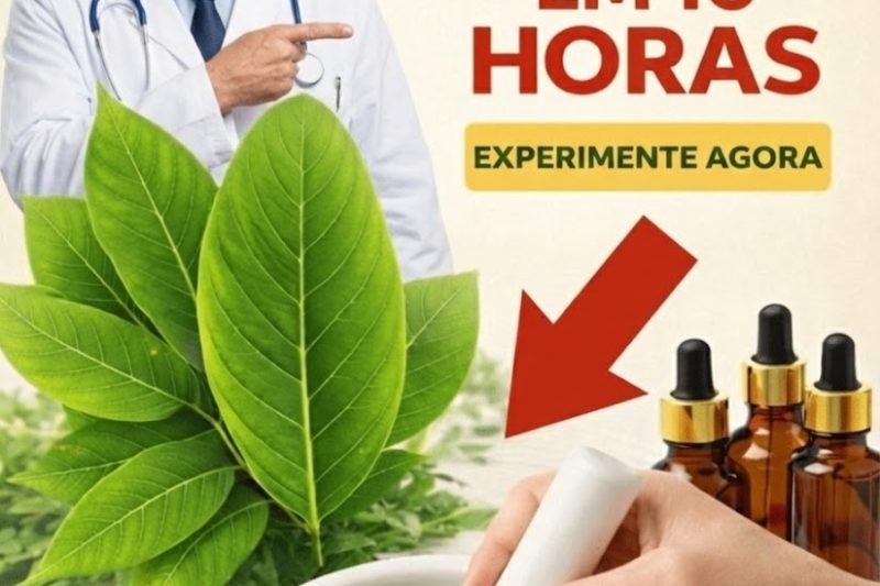 A Folha Esquecida que Pode Apoiar sua Energia e Bem-Estar Naturalmente