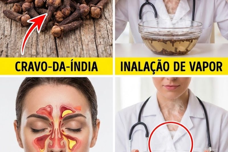 O Poder da Inalação de Vapor de Cravo‑da‑Índia: Conforto Respiratório Natural que Você Pode Sentir Rapidamente