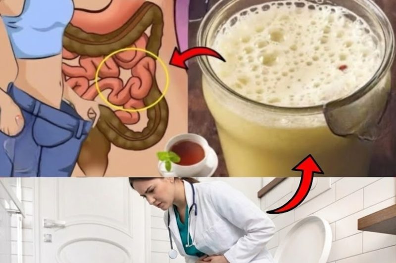 Natürliches Getränk zur Verbesserung der Verdauungsgesundheit und sanften Darmreinigung