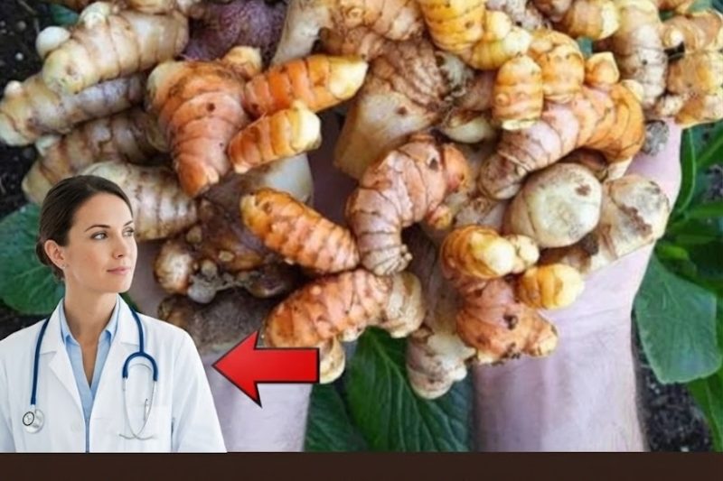 Natürliches Antibiotikum aus Kurkuma und Honig: Rezept, Einnahme und 20 Vorteile