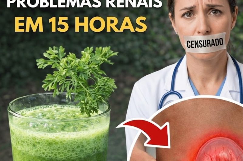 7 Bebidas Refrescantes que Podem Apoiar Suavemente a Saúde dos Rins Através de Melhor Hidratação