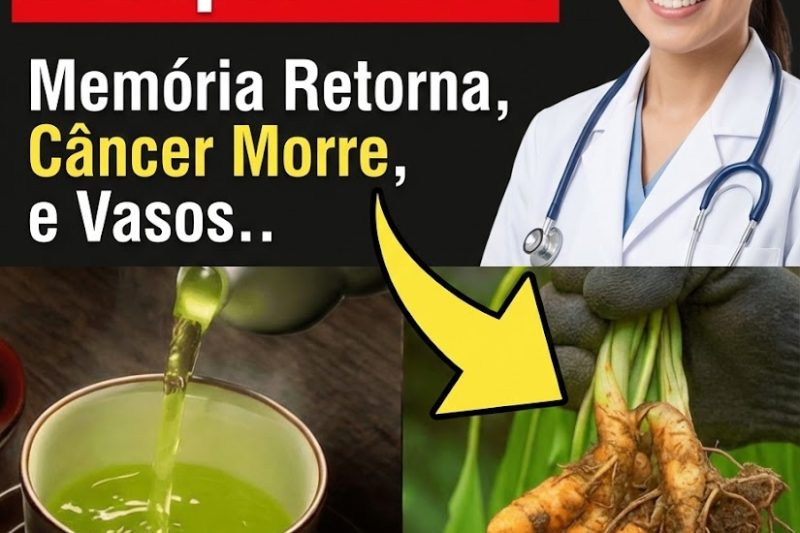 14 Melhores Alimentos Ricos em Colágeno para uma Pele Mais Firme, Articulações Fortes e Vitalidade Jovem