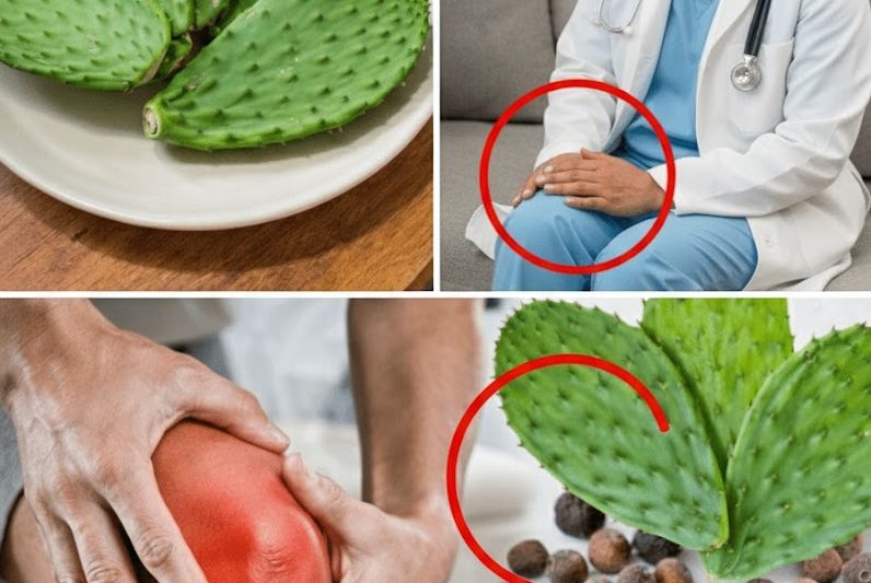 Poder Anti‑inflamatório: Como a Água de Palma Forrageira (Nopal) Pode Ajudar a Reduzir o Inchaço das Articulações e o Desconforto Ósseo