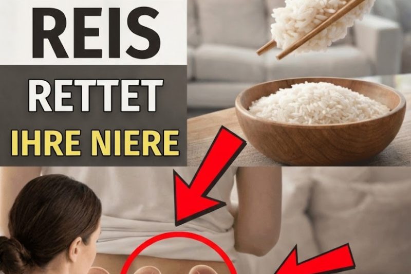 Die Top 3 Reissorten für die Nierengesundheit: Niedrig‑Kalium‑Optionen, die den Alltag erleichtern