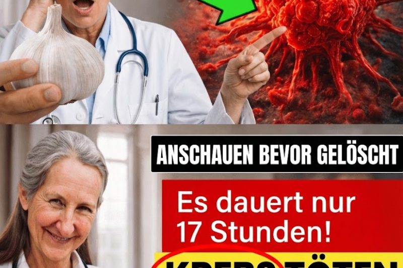 11 wissenschaftlich unterstützte Lebensmittel, die die Krebsvorsorge fördern können