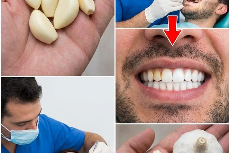 Descubra o Poder Natural do Alho para um Sorriso Mais Saudável