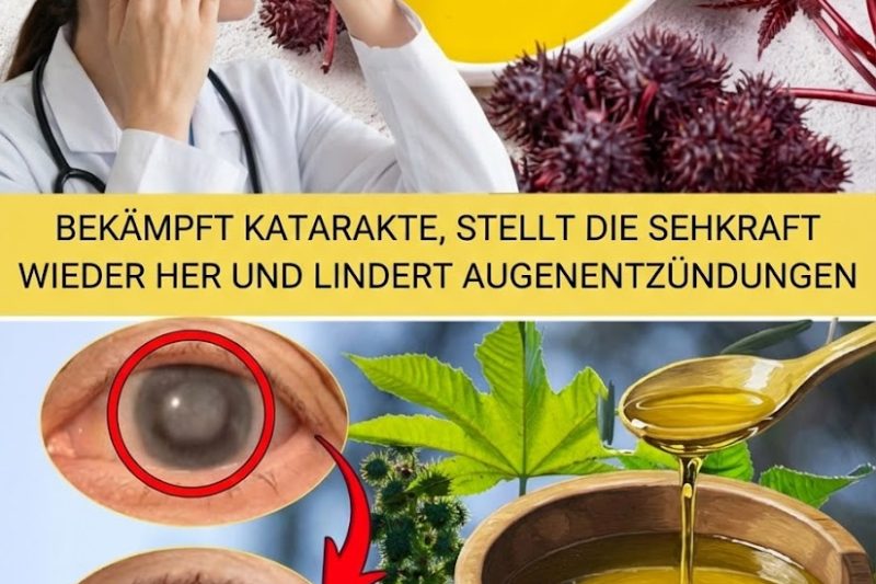 Rizinusöl: Wie Sie es zur Förderung der Gesundheit und zur Verwandlung Ihres Haares richtig anwenden