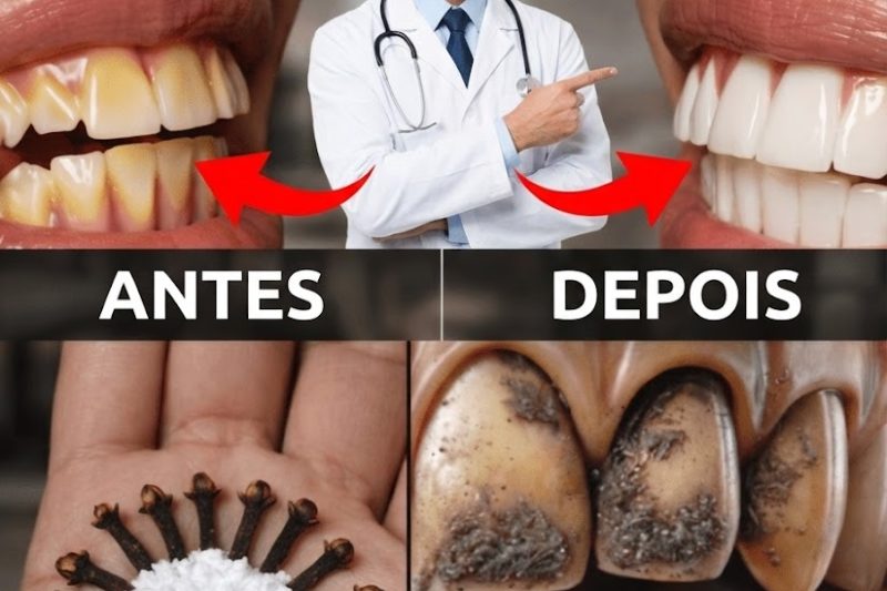 Mascar Cravos Todos os Dias: Um Jeito Natural de Fortalecer os Dentes e Cuidar das Gengivas