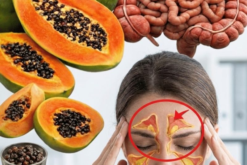 Die überraschenden Superkräfte von Papayakernen: 7 potenzielle Vorteile, die du kennen solltest