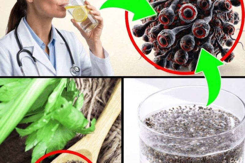 O Câncer teme estes alimentos: descubra os 16 principais vegetais que podem ajudar na prevenção