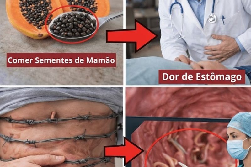 Não Jogue Fora: 14 Benefícios Surpreendentes das Sementes de Mamão para o Bem‑Estar Diário