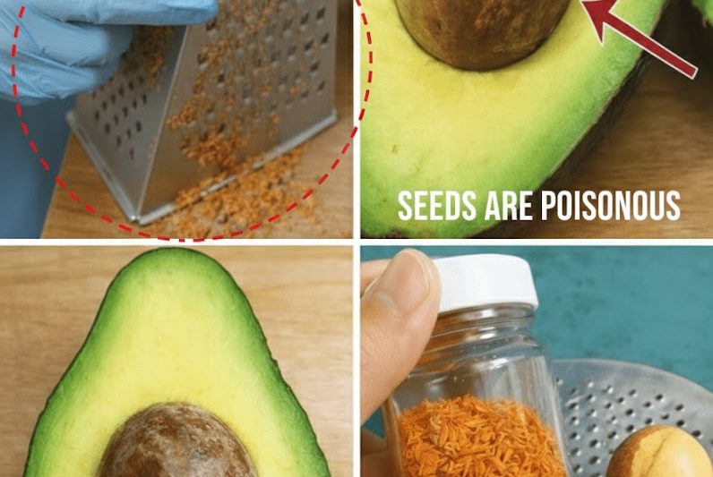 Wegwerfen? Besser nicht! Wie Avocadokerne Deine Gesundheit auf natürliche Weise unterstützen können