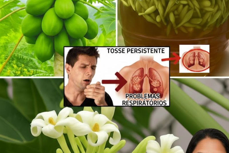 O Elixir Proibido da Ilha que Acalma a Tosse, Equilibra o Açúcar no Sangue e Rejuvenesce a Pele