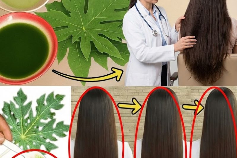 Desvende o Segredo do Cabelo Eternamente Jovem: Por Que as Folhas de Mamão São a Nova Melhor Amiga dos Seus Fios