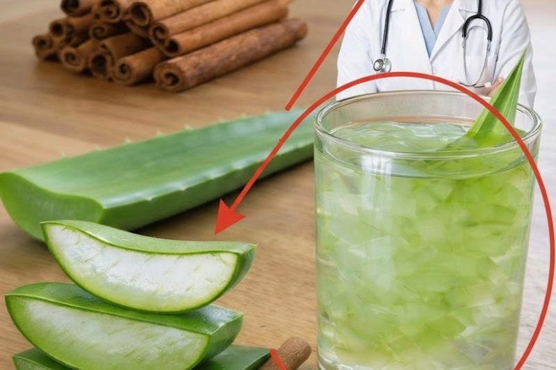Aloe Vera e Canela: Uma Dupla Natural que Apoia o Bem-Estar Diário em Casa
