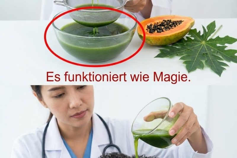 Papayablätter für das Haarwachstum: Wie diese traditionelle Kräuterspülung die Haarwurzeln stärken und für mehr Glanz sorgen kann