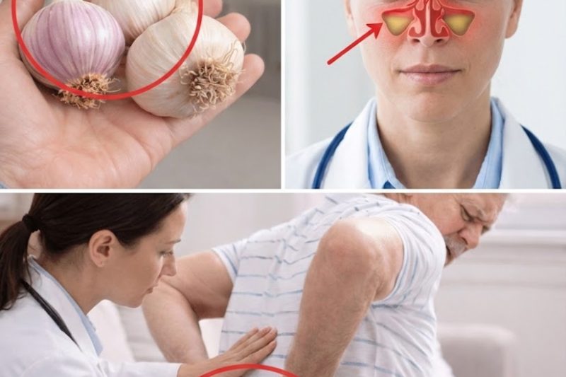 O Poder do Alho: O Aliado Natural para uma Imunidade Forte e Proteção contra Infecções Urinárias