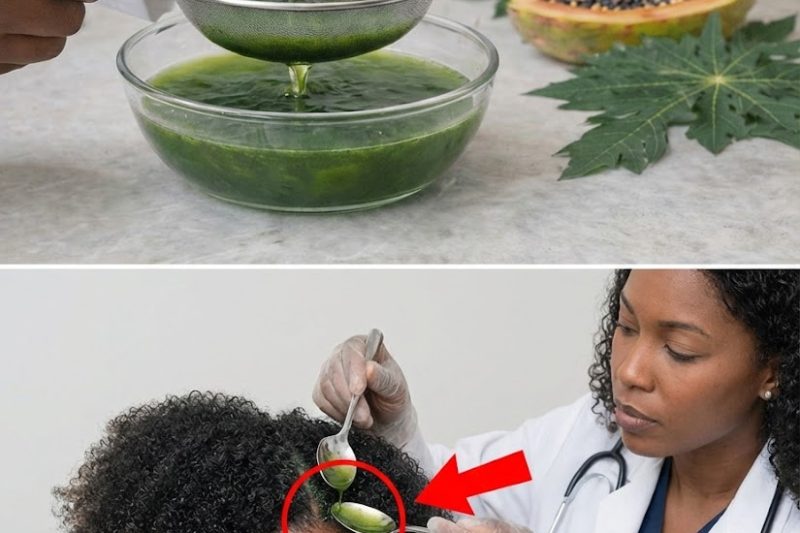 Folhas de Mamão Fazem o Cabelo Crescer? A Verdade + 2 Formas Simples de Usar no Cabelo 4C (e Reduzir a Caspa)