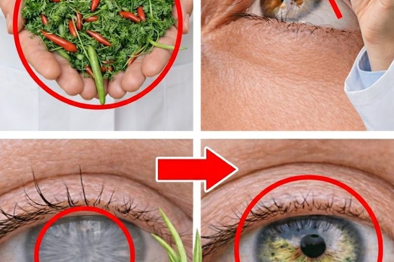 5 Folhas Essenciais para Melhorar Naturalmente a Saúde dos Seus Olhos e da Sua Visão