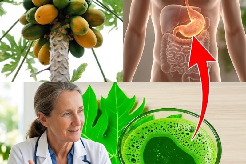 O Elixir Secreto Escondido no Seu Quintal: Descubra o Poder Surpreendente das Folhas de Mamão