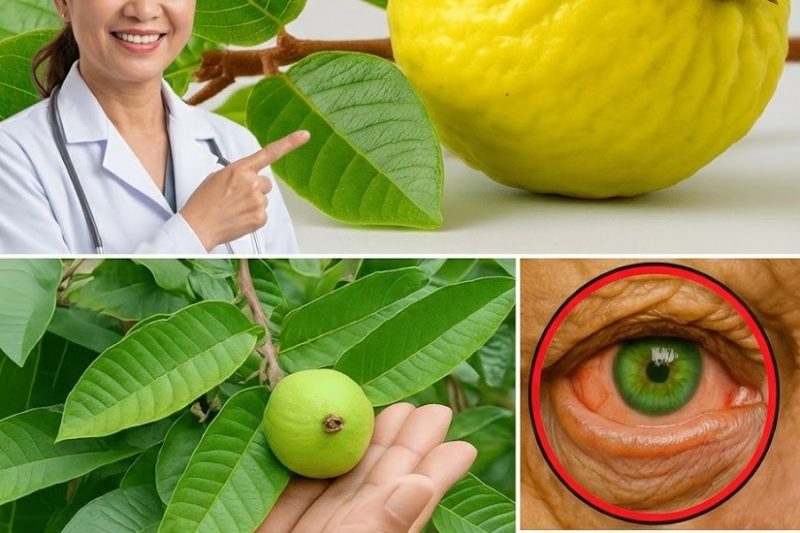 A Fruta “Proibida” Que Seus Olhos Estão Implorando (E Quase Ninguém Fala Sobre Isso)