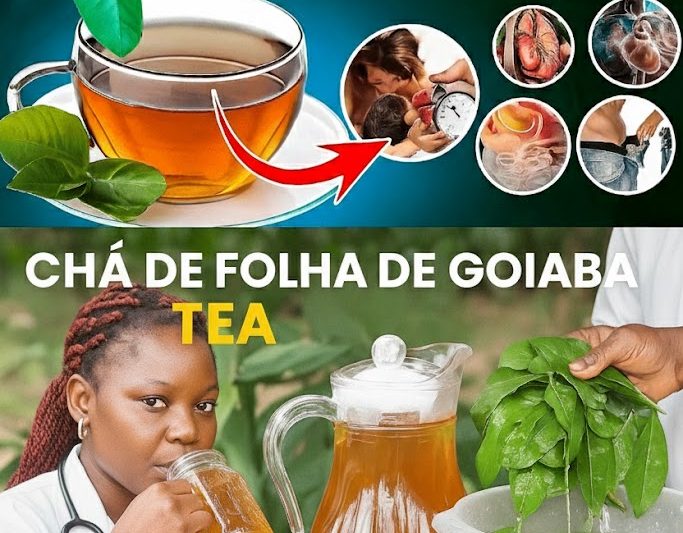 O Elixir Esquecido: Descubra os 14 Segredos Milagrosos Escondidos nas Folhas de Goiaba 🌿