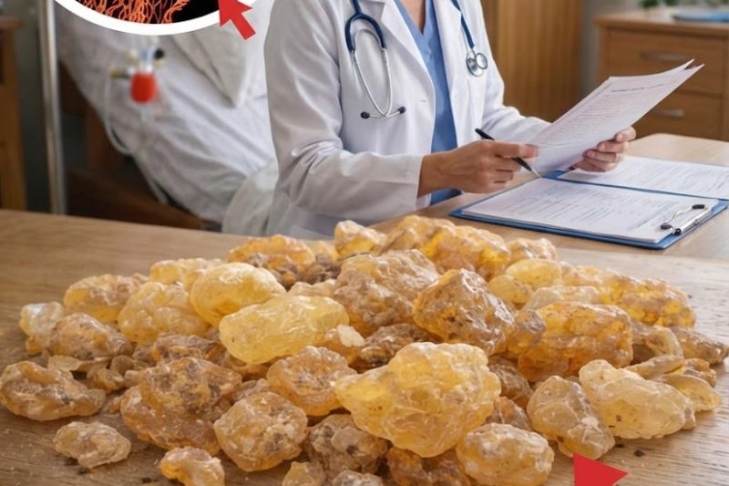Olíbano (Frankincense): Será Que Esta Resina Milenar Pode Apoiar a Saúde Celular e o Bem-Estar?