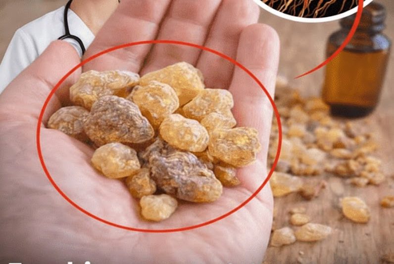 Olíbano e Seus Potenciais Benefícios para a Saúde: O Que a Ciência Realmente Diz Sobre Essa Resina Milenar