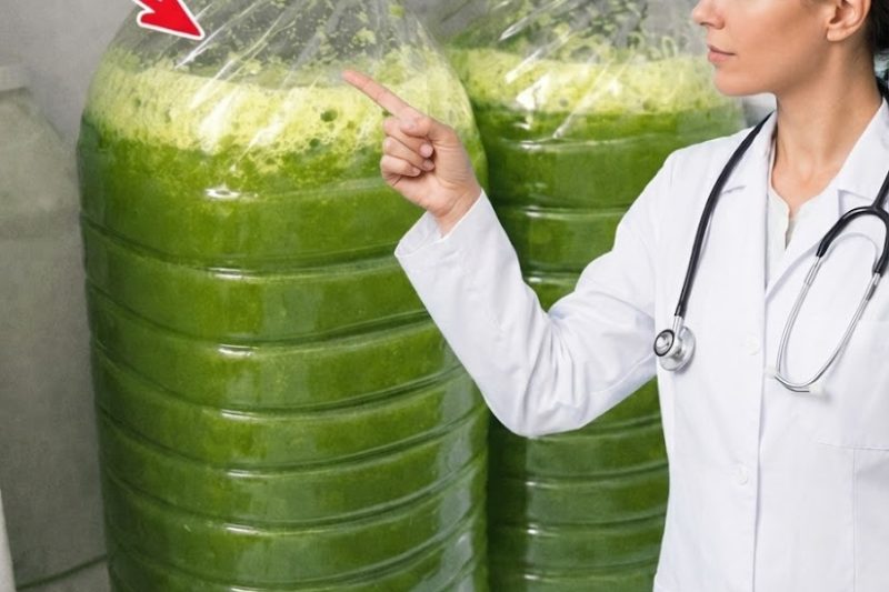 Sentindo-se Cansado e Inchado Toda Segunda-Feira? Este Suco Verde Simples Pode Ajudar a Reiniciar Seu Corpo