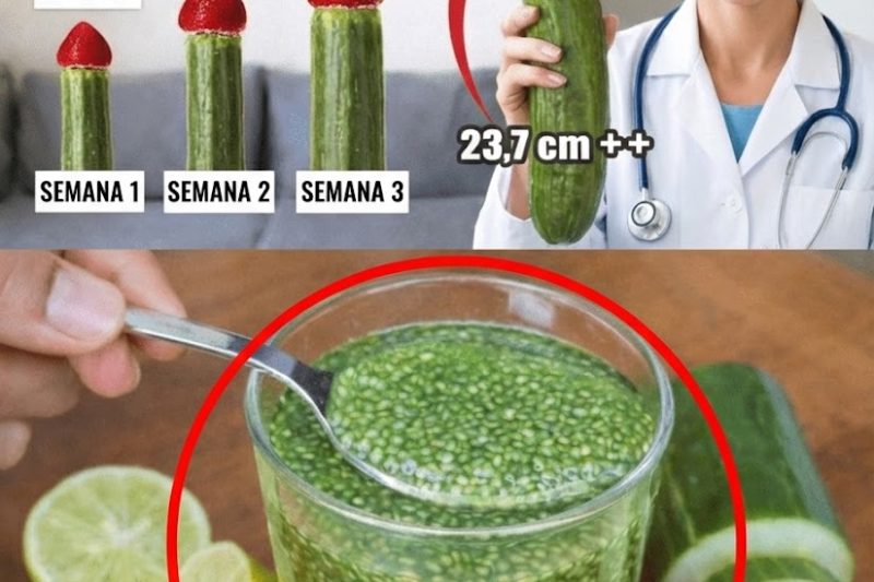 As 6 Ervas Poderosas Que Podem Ajudar a Apoiar a Circulação Saudável e Reduzir Naturalmente o Risco de Coágulos