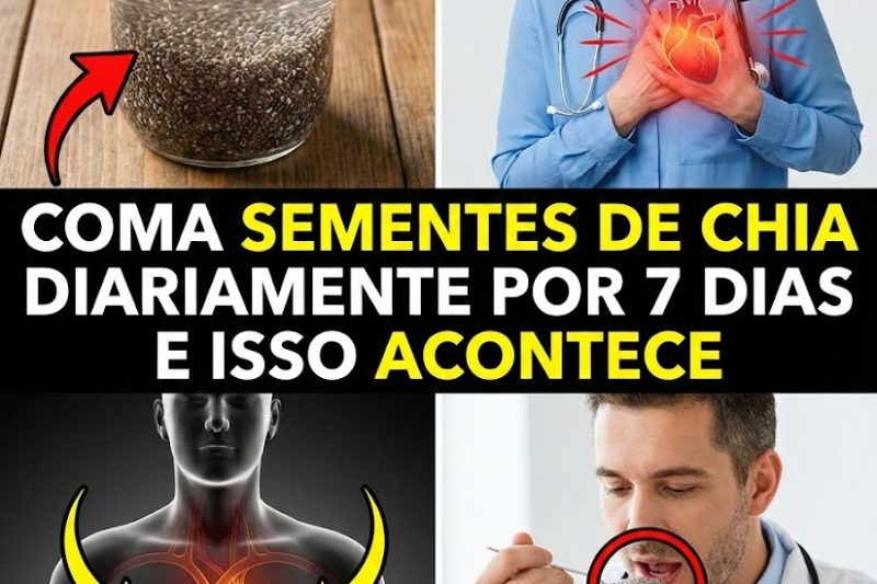 O Que Realmente Acontece Quando Você Come Sementes de Chia Todos os Dias por 7 Dias (Não É o Que a Maioria Imagina)