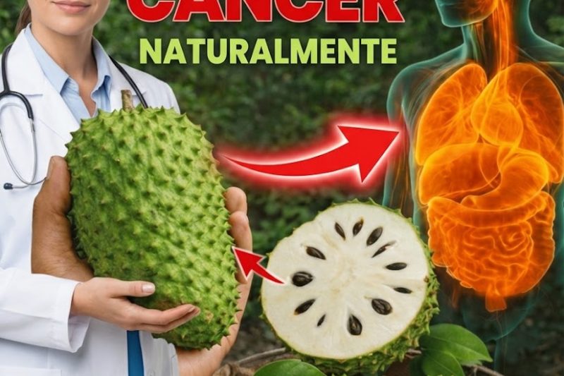 Cherimóia: A Fruta Tropical Pouco Conhecida Repleta de Antioxidantes para o Bem-Estar na Terceira Idade