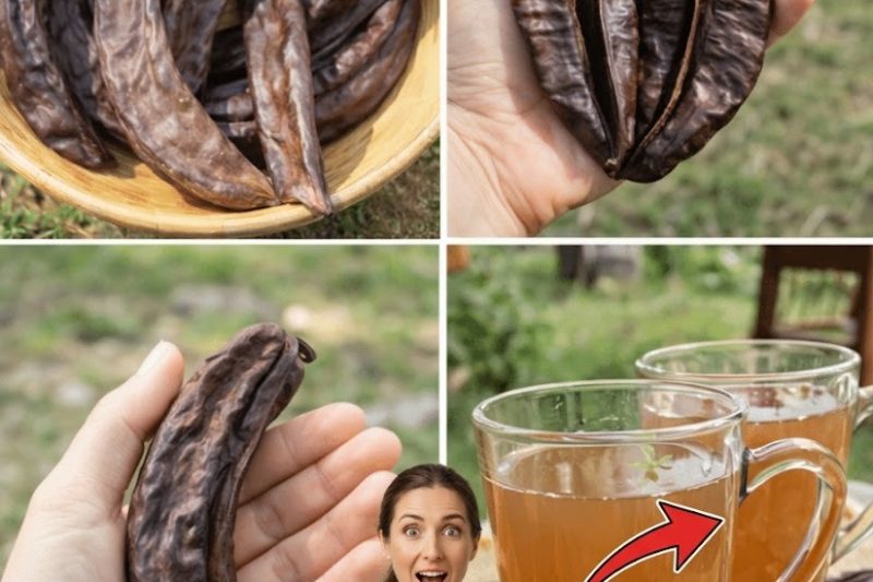 Você Já Se Perguntou Por Que Tantas Mulheres Confiam Nessa Fruta Tropical Simples no Dia a Dia?