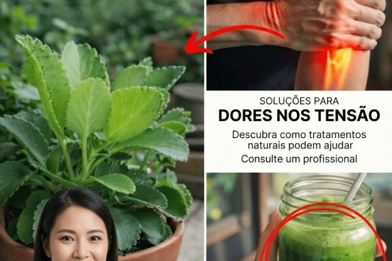 Ver Esta Planta no Seu Jardim Pode Ser Mais Valioso do que Encontrar Dinheiro – Eis o Porquê…