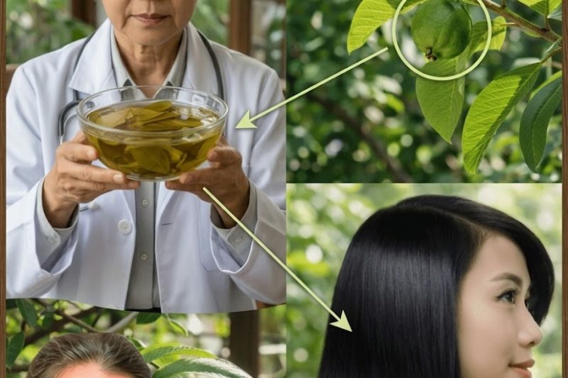 Explorando Formas Naturais de Apoiar a Cor e Vitalidade do Cabelo com Folhas de Goiaba
