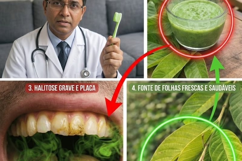 3 Maneiras Geniais de Usar Folhas de Goiaba para Dentes e Gengivas Mais Saudáveis