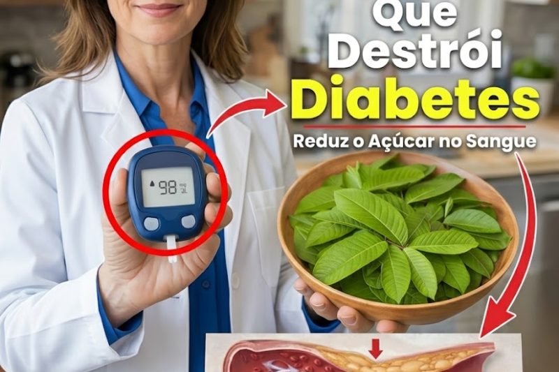 1 Folha Que Ajuda a Equilibrar o Açúcar no Sangue, Pode Reduzir Gordura Persistente e Apoiar Artérias Mais Saudáveis – A Ciência Surpreendente por Trás do Poder Oculto da Natureza
