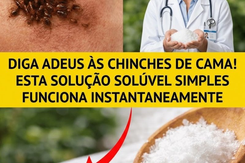 Descubra Como Jardineiros Estão Explorando Maneiras Naturais de Controlar Percevejos em Espaços Externos