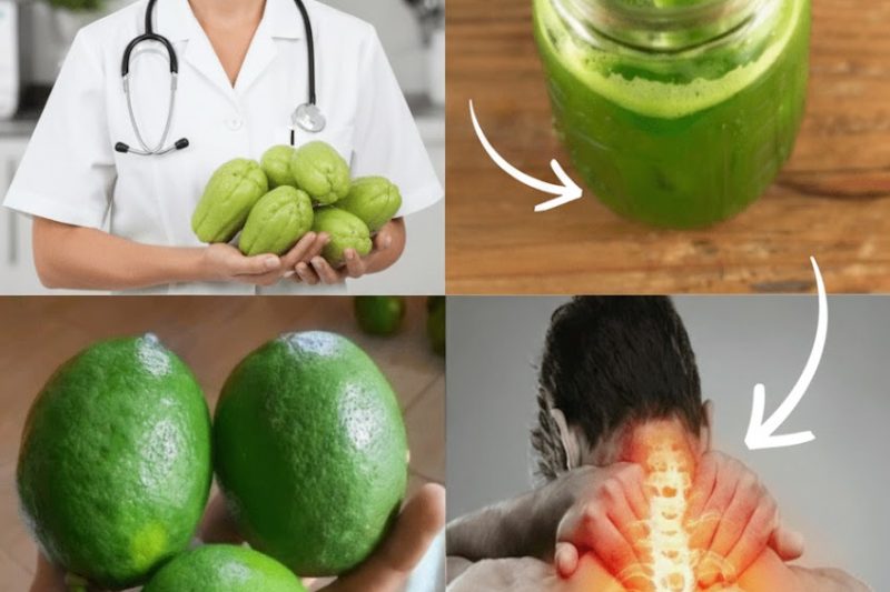 A Joia Escondida da Selva: 13 Maneiras Surpreendentes de o Suco de Chuchu Renovar Sua Saúde e Fazer Você se Sentir 10 Anos Mais Jovem